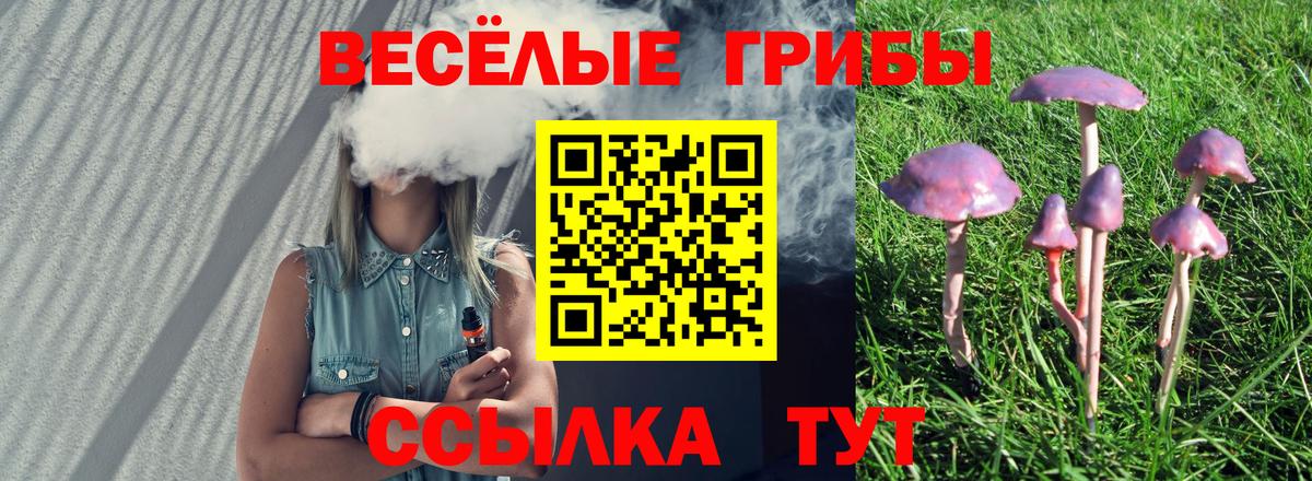 купить  сайты  Вход с VPN  Электрогорск  Псилоцибиновые грибы GOLDEN TEACHER 