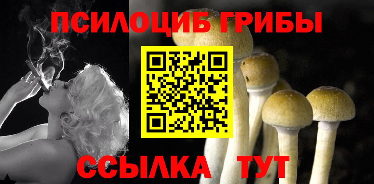 Галлюциногенные грибы прущие грибы Электрогорск